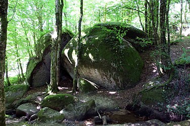 Sentier les Aubespins