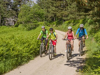 Circuit VTT N°4 La Petite Suchere