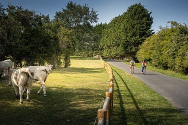 La Vélomaritime - La Seine à Vélo : Voie verte de Saint-Arnoult à Deauville
