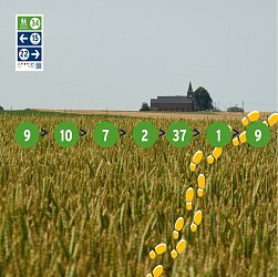 Balade au nord de Sombreffe, au fil des points-noeuds pédestres (AFPN001)