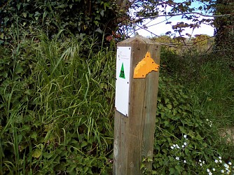 Circuit des Loups n°26