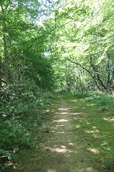 Chemin du Bocage et de la forêt - PR 5