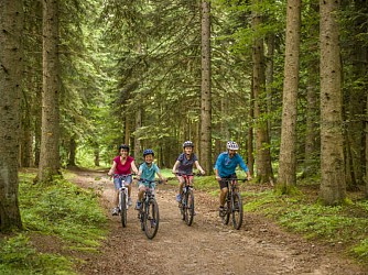 Circuit VTT N°5 Du Lignon au Lac de Devesset