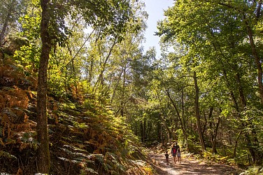 MOULIHERNE - PROMENADE DES AMOUREUX DE L'HISTOIRE ET DE LA NATURE