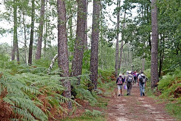 GR®35 La vallée du Loir à pied