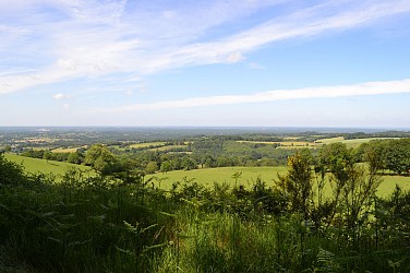 SUR LE FLANC DU MONT ROCHARD - N°22