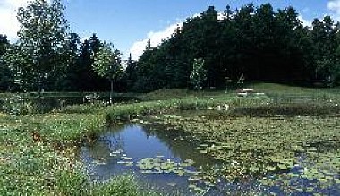 GR® de Pays Balcon du Valromey