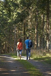 Circuit rando B24 : De Muhlbach au chateau de Guirbaden