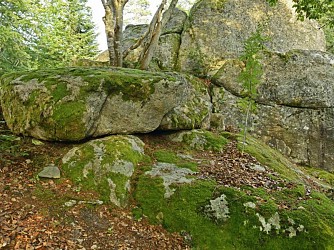 Circuit Trail N°01 : Roche Druidique