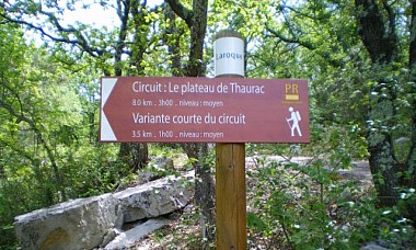 RANDONNEE DU PLATEAU DU THAURAC