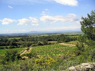 OENORANDO® DES MOURELS