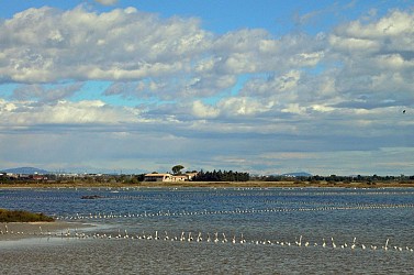 RANDONNEE DES SALINES