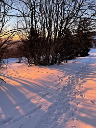 Circuit raquettes - Markstein Grand Ballon (GR532 hiver) - R4