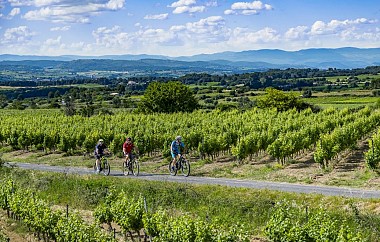 CIRCUIT VTT 11 : LE VOLCAN DES BAUMES – ESPACE VTT/GRAVEL CAP D’AGDE MÉDITERRANÉE