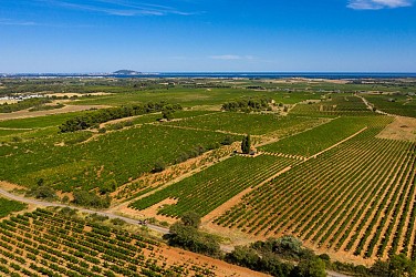 ESPACE VTT FFC 138 : CIRCUIT N°17 LE GRAND PICPOUL