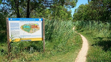 ESPACE VTT FFC 138 - CIRCUIT N° 19 : DE LA CAVE AU MOULIN