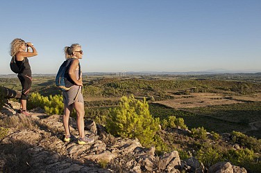 8 / Mailhac : les Roumanisses viariante longue