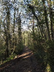 Parcours trail Le Bugue n°2