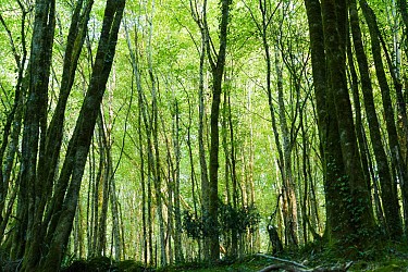 Parcours trail Les Eyzies n°4
