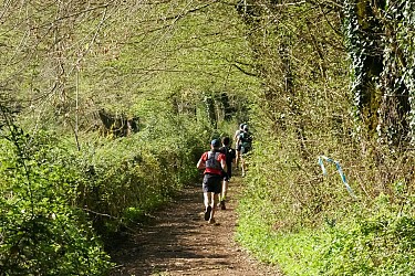 Parcours Trail Saint-Léon sur Vézère n°9