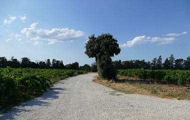 A07 Balade & Découverte - La Balade des Copines