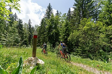 Sur les Gîts / Chapelle-des-Bois - 31B