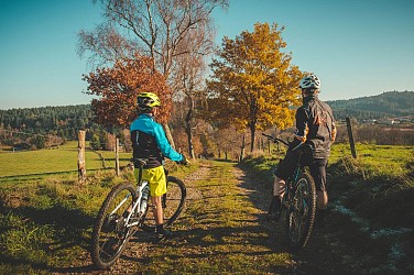 Circuit VTT La forêt de Lespinasse