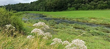 Circuit de Bazoilles-sur-Meuse