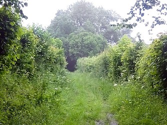 Le ruisseau du Moulin de Bailleul