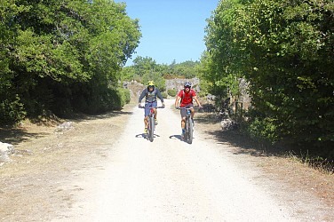 CIRCUIT LE TOUR DE FAVET - ESPACE VTT-FFC LODÉVOIS ET LARZAC