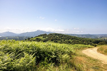 GRP® Tour du Labourd - Lapurdiko itzulia - De Pinodieta à Cambo-les-Bains