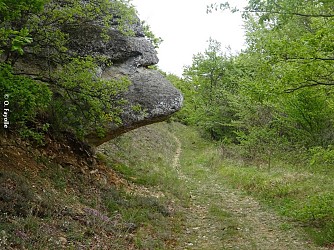 Entre bois et ravins