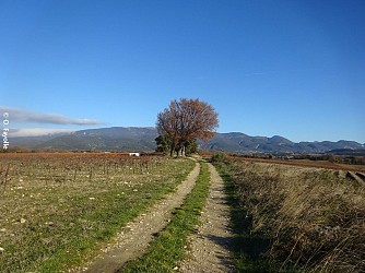 Le chemin des invasions