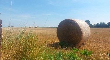 The Terra Curiosa farms by bike