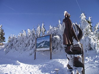 Circuit raquette des petits lynx - Vosges du sud