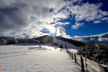 Circuit raquette La Haute Planche - Vosges du sud