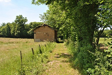 La marche rapide du loup
