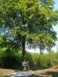 Chemin Saint Vincent , Montfort sur Risle 27290