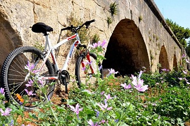 ARLES - Autour du canal de Craponne à vélo