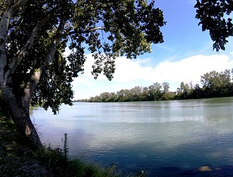 The Petit-Rhône dike