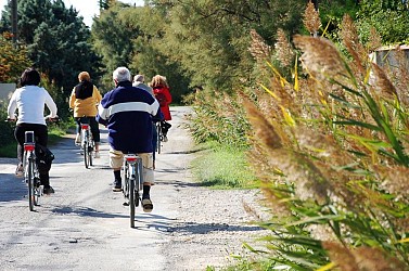 ARLES - Le chemin des taureaux à vélo