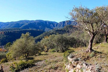 BELGENTIER - Barre de Cuers