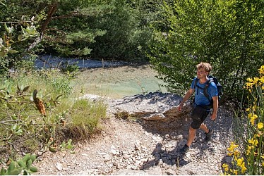BRANTES - Plantes médicinales et toxiques
