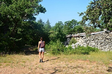 FLASSAN - La combe de Canaud