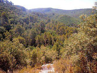 GRÉOUX-LES-BAINS - Les Maurras