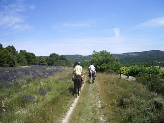 Monts-de-Vaucluse by horseback