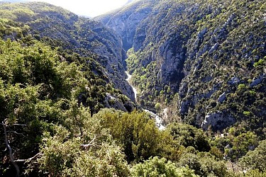 LA PALUD SUR VERDON - Le Bastidon en  aller retour