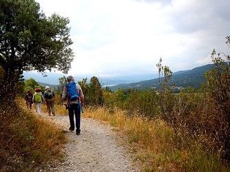 MOUSTIERS-SAINTE-MARIE - Le sentier botanique de Tréguier