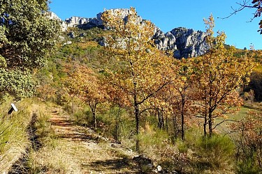 MOUSTIERS-SAINTE-MARIE - Le sentier découverte de Valx