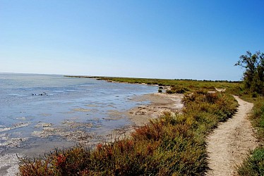 Loop between the two arms of the Rhone